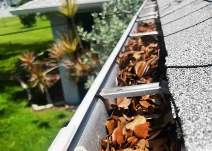 Spanish Fork gutter cleaning home page